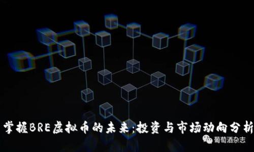 掌握BRE虚拟币的未来：投资与市场动向分析