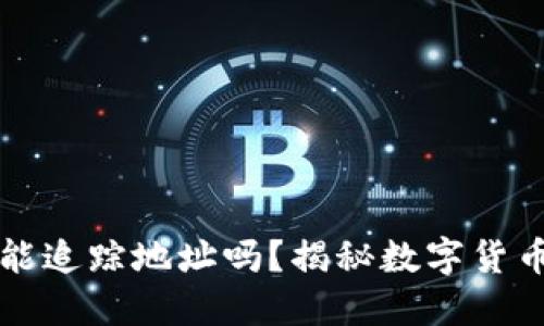 虚拟币钱包能追踪地址吗？揭秘数字货币隐私与安全