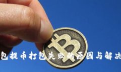 TP钱包提币打包失败的原因