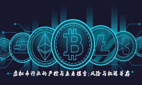 虚拟币行业的严控与未来摸索：风险与机遇并存