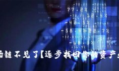 TP钱包波场链不见了？逐步