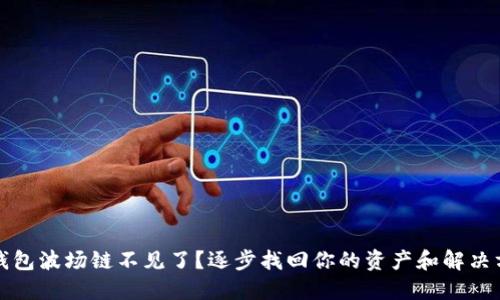 TP钱包波场链不见了？逐步找回你的资产和解决方法