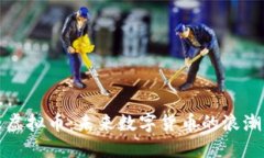 兴发米虚拟币：未来数字