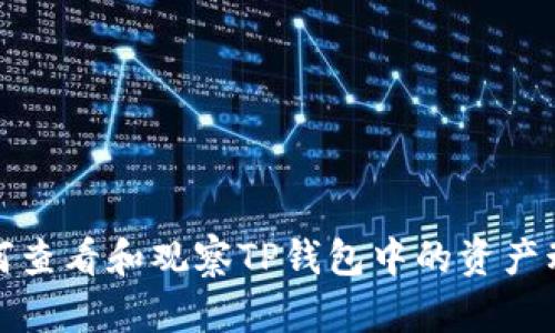 如何查看和观察TP钱包中的资产动态