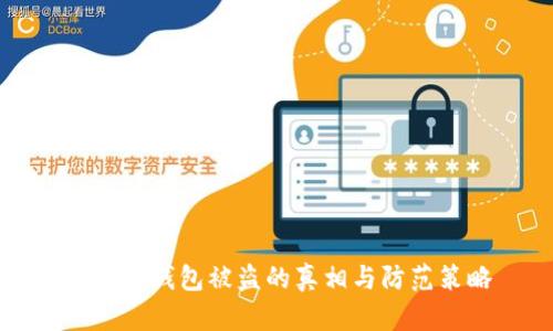 揭秘TP钱包被盗的真相与防范策略