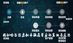 揭秘哈尔滨虚拟币骗局背