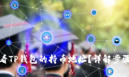 如何查看TP钱包的持币地址？详解步骤与技巧