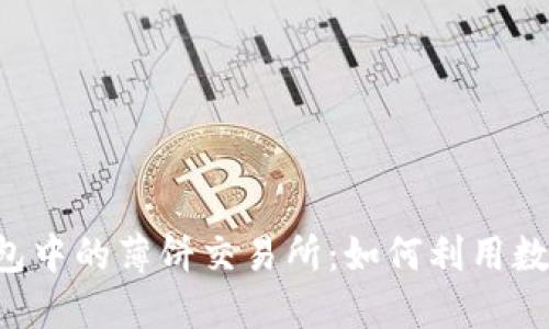 深入探讨T P钱包中的薄饼交易所：如何利用数字资产进行投资