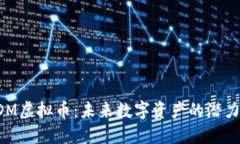 揭秘DDM虚拟币：未来数字