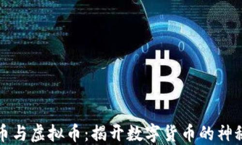 
比特币与虚拟币：揭开数字货币的神秘面纱