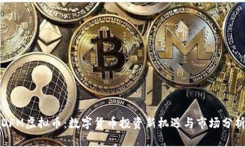 DFM虚拟币：数字货币投资新机遇与市场分析