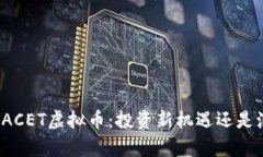 深入解析ACET虚拟币：投资