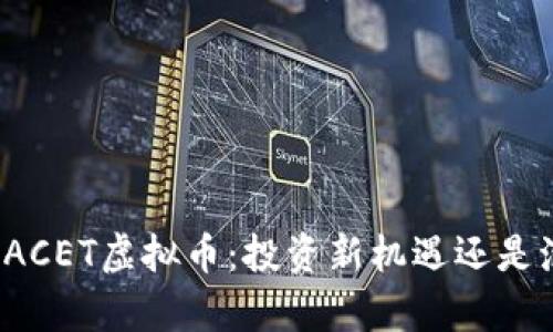 深入解析ACET虚拟币：投资新机遇还是泡沫风险？