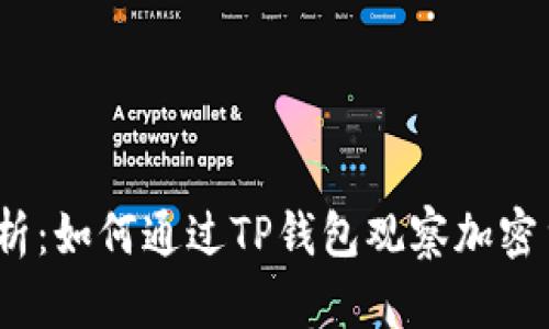  深度解析：如何通过TP钱包观察加密货币走势