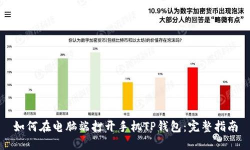 如何在电脑端打开手机TP钱包：完整指南