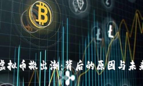 中国虚拟币撤出潮：背后的原因与未来趋势