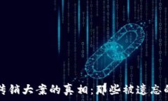   揭开虚拟币传销大案的真