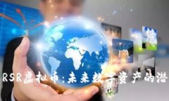深入了解RSR虚拟币：未来