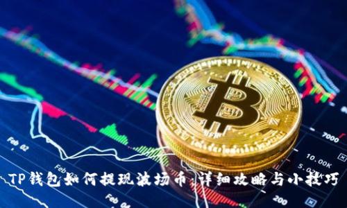 TP钱包如何提现波场币：详细攻略与小技巧
