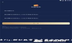 虚拟币Pig：探秘数字货币