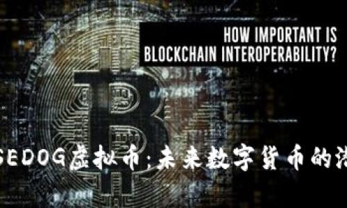 深入解析SEDOG虚拟币：未来数字货币的潜力与挑战