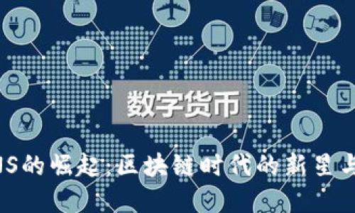 虚拟币HNS的崛起：区块链时代的新星与投资指南