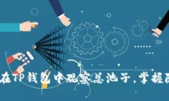 深度解析：如何在TP钱包中