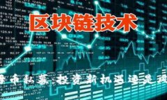 虚拟币母币私募：投资新