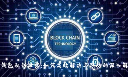 TP钱包私钥泄露：如何高效解决与预防的深入解析
