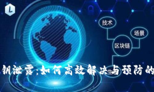 TP钱包私钥泄露：如何高效解决与预防的深入解析