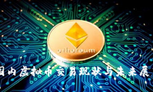 国内虚拟币交易现状与未来展望