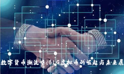 在数字货币潮流中，BLG虚拟币的崛起与未来展望