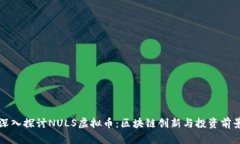 深入探讨NULS虚拟币：区块