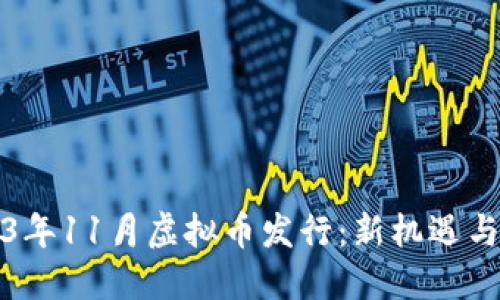 2023年11月虚拟币发行：新机遇与挑战