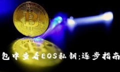 如何在TP钱包中查看EOS私钥：逐步指南与注意事项