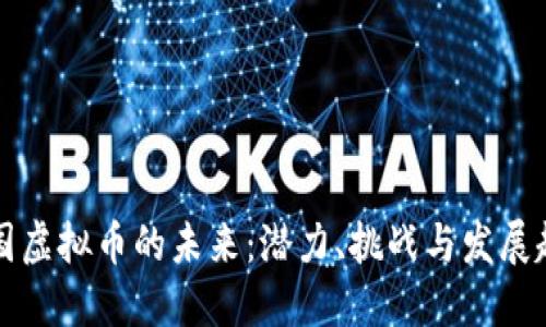 中国虚拟币的未来：潜力、挑战与发展趋势