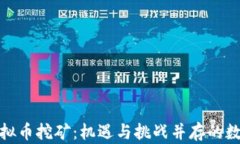 揭秘中国虚拟币挖矿：机