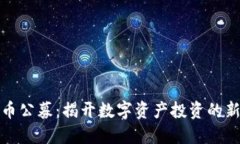 虚拟币公募：揭开数字资