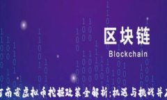 河南省虚拟币挖掘政策全