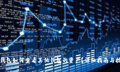 TP钱包如何查看其他钱包的资产？详细指南与技巧