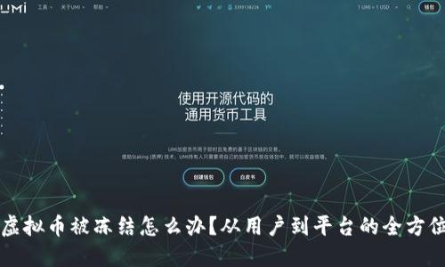 中币虚拟币被冻结怎么办？从用户到平台的全方位解读