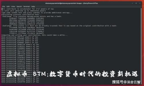 虚拟币 BTM：数字货币时代的投资新机遇
