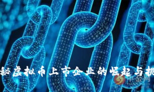 揭秘虚拟币上市企业的崛起与挑战