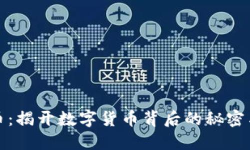 大饼虚拟币：揭开数字货币背后的秘密与投资机会