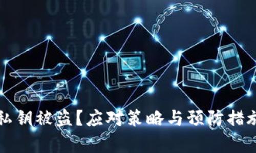 TP钱包私钥被盗？应对策略与预防措施全解析