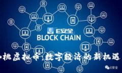 探索仙桃虚拟币：数字经