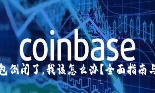 虚拟币钱包倒闭了，我该怎么办？全面指南与应对策略