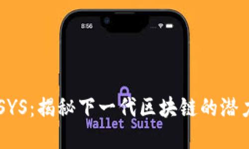系统币SYS：揭秘下一代区块链的潜力与应用