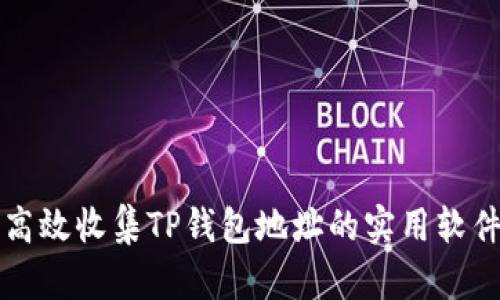 如何高效收集TP钱包地址的实用软件推荐