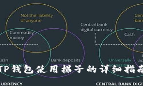 TP钱包使用梯子的详细指南
